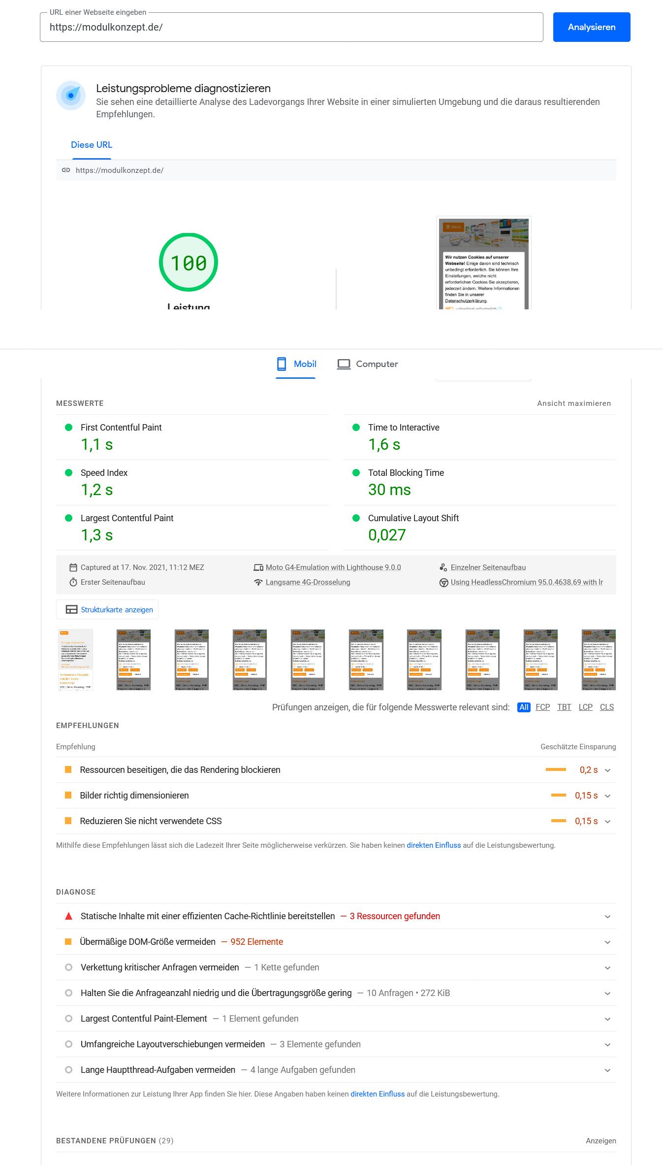 Anzeige der Testauswertung bei Google Insight mit 100/100 Punkten